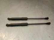 Gasdruckfeder Set Vorne 654705053R Renault III Autobús (JG_) 1.6 dCi 95 (JGMR, JGMJ)