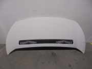 Motorhaube 1608371780 Peugeot Expert Tepee (G9) GroÃŸraumlimousine 2.0 HDi 120 (DW10UTED4(RHK))