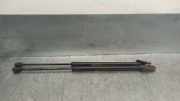 Gasdruckfedern Set Hinten 90450AX60B Nissan Micra (K12) Schrägheck 1.2 16V (CR12DE)