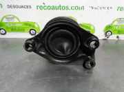 Motorhalter Rechts 50822TF0J02 Honda Jazz (GE6/GE8/GG/GP) Schrägheck 1.4 VTEC 16V Hybrid (LDA3)