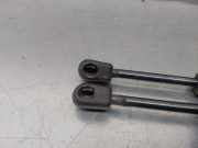 Gasdruckfedern Set Hinten 8E5827552J Audi B7 (8EC) 2.0 TDI 16V