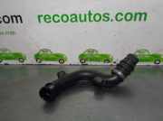 Schlauch 2T1Q9F796 Ford Tourneo Connect I GroÃŸraumlimousine 1.8 TDCi 90 (HCPA)