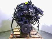 Motor G8DB Ford Focus 2 Limousine 1.6 TDCi 16V 110 (G8DB)