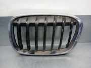 Grill 7354823 BMW X1 (F48) SUV sDrive 18d 2.0 16V (B47-C20A)