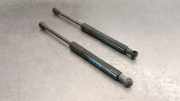 Gasdruckfeder Set Vorne 654704597R Renault Scénic IV (RFAJ) Großraumlimousine 1.5 Energy dCi 110 (K9K-646(K9K-F6))