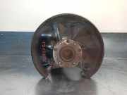 Achsschenkel Halter Links Hinten Audi A6 AVANT (4F5) *