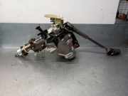 Lenksäule 488108223R Renault Scénic III (JZ) Großraumlimousine 1.5 dCi 105 (K9K-832(K9K-G8))