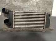 Ladeluftkühler 9638758980 Citroën C3 (FC/FL/FT) Schrägheck 5-drs 1.4 HDi 16V (DV4TED4(8HY))