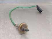 Lambdasonde 226902555R Nissan Juke (F16) SUV 1.0 DIG-T 117 12V (HRA0)