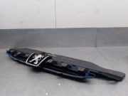 Grill 9635719477 Peugeot 307 SW (3H) Kombi 2.0 HDi 135 16V FAP (DW10BTED4(RHR))