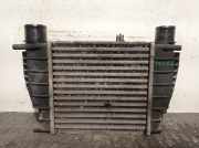 Ladeluftkühler 8200471885B Renault Modus/Grand Modus (JP) Großraumlimousine 1.5 dCi 80 (K9K-750)