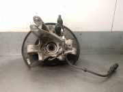 Achsschenkel Halter Links Hinten 95833161100 Porsche (92A) 3.0 Diesel