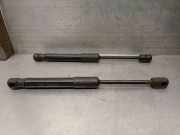 Gasdruckfeder Set Vorne 51237419387 BMW 3 serie (G20) Limousine 320d 2.0 TwinPower Turbo 16V Mild Hybrid (B47-D20B)