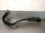 Schlauch 215034996R Nissan Juke (F16) SUV 1.0 DIG-T 117 12V (HRA0)