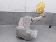 Scheibenwaschbeh?lter 289100003R Renault Laguna III (BT) Schr?gheck 5-drs 2.0 16V (M4R-704)