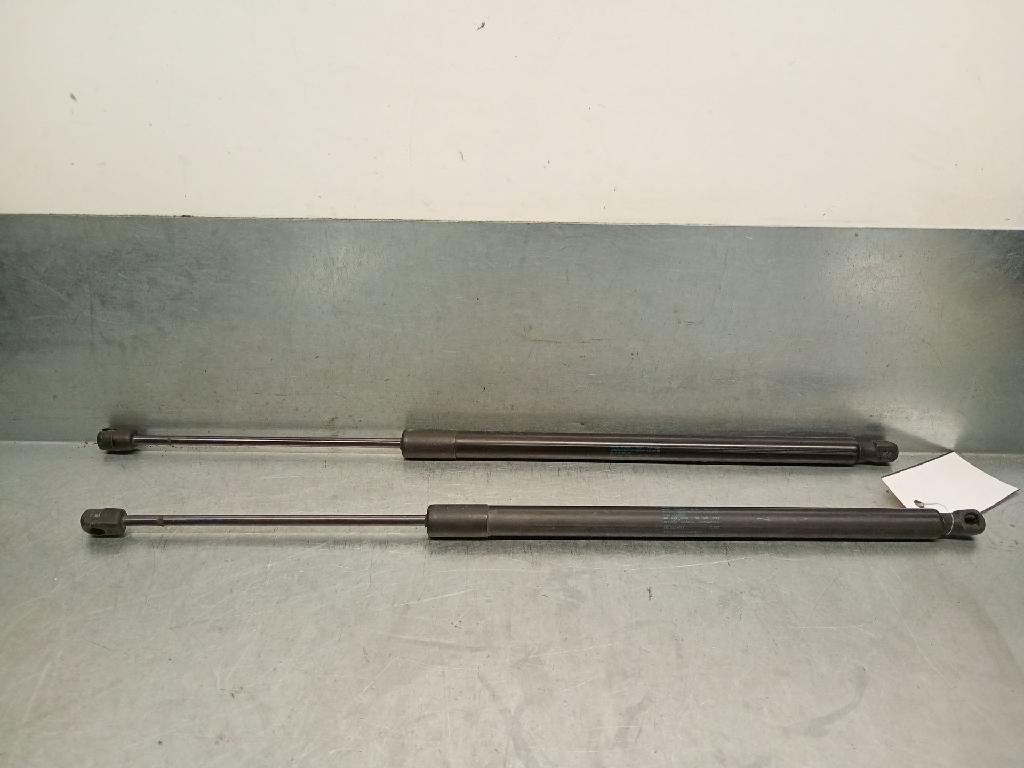 Gasdruckfedern Set Hinten 5NA827550B Volkswagen TIGUAN (5N_) 2.0 TDI DFGA