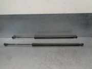 Gasdruckfedern Set Hinten 51247149631 BMW X5 (E53) SUV 3.0d 24V (M57N-D30(306D2))