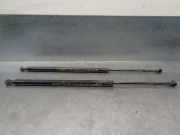 Gasdruckfedern Set Hinten 51248402405 BMW X5 (E53) SUV 4.4 V8 32V (M62-B44(448S2))