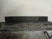 Grill 251853663 VOLKSWAGEN T-3 CARAVELLE 1.6 C.C TD