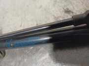 Gasdruckfedern Set Hinten 46827091 Fiat Panda (169) Schrägheck 1.2, Classic (169.A.4000)