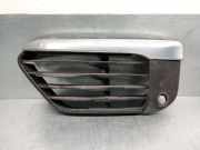 StoÃŸstangengitter LINKS 51117354777 BMW X1 (F48) SUV sDrive 18d 2.0 16V (B47-C20A)