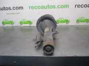 Stoßdämpfer Links Vorne 6C1118045GF Ford Transit RWD Van 2.4 TDCi 16V (H9FB)