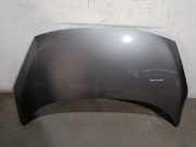 Motorhaube 651008842R Renault Scénic III (JZ) Großraumlimousine 1.5 dCi 110 (K9K-N837)
