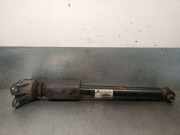 StoÃŸdÃ¤mpfer Links Hinten 33526862172 BMW 1 serie (F20) SchrÃ¤gheck 5-drs 116i 1.6 16V (N13-B16A)