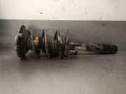 Stoßdämpfer Rechts Vorne 31316791541 BMW 1 serie (F20) Schrägheck 5-drs 116d 2.0 16V (N47-D20C)