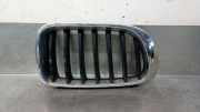 Grill 51117338572 BMW X3 (F25) SUV xDrive20d 16V (B47-D20A)