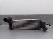 Ladeluftkühler 1489396080 Fiat Ulysse (179) Großraumlimousine 2.2 JTD 16V (DW12TED4(4HW))