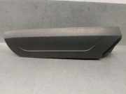 Zierleiste DT1113476A Ford TRANSIT CONNECT 1.6 TDCi CAT