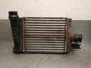 Ladeluftkühler 144963014R Citroën Berlingo Van 1.9 D (DW8B(WJY))