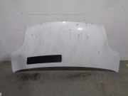 Motorhaube 651005147R Renault II Furgoneta (FL) 2.0 dCi 90 (FL0H)