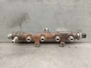 Einspritzdüsen Düsenstock 9821399680 Peugeot Expert (V1/VA/VB/VE/VF/VT/VY) Van 1.5 BlueHDi 120 (DV5RUC(YHV))