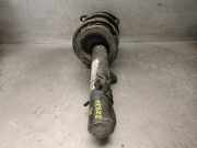 Sto?d?mpfer Links Vorne 31316764915 Mini Mini One/Cooper (R50) Schr?gheck 1.6 16V One (W10-B16A)