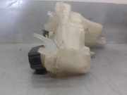 Ausgleichbehälter - - 217100014R Renault LAGUNA III 2.0 dCi Diesel CAT