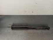 Stoßdämpfer Rechts Hinten A2023261400 Mercedes-Benz C (W202) Limousine 2.5 C-250 TD 20V (OM605.960)