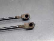 Gasdruckfedern Set Hinten 68101213AA Fiat Freemont Großraumlimousine 2.0 MultiJet 140 16V (939.B.5000)