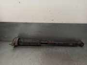 Stoßdämpfer Links Hinten A2073203830 Mercedes-Benz E (C207) Coupé E-350 CDI V6 24V (OM642.836)