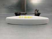 TÃ¼rgriff AuÃŸen Links Hinten 806072081R Dacia Lodgy (JS/SD0J) GroÃŸraumlimousine 1.6 16V LPG (H4M-729(H4M-D7))