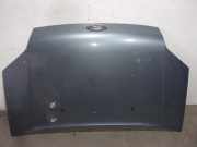 Motorhaube 16612 Ford Tourneo Connect I GroÃŸraumlimousine 1.8 TDCi 90 (HCPA)