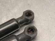 Gasdruckfedern Set Hinten 844308399R Renault IV Schrägheck (B9A/M/N_) 1.3 TCe 140 (B9NB)