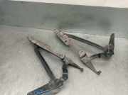 Scharniere Audi S8 (D2) Limousine 4.2 V8 40V (AVP)