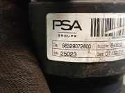 Stoßdämpfer Links Hinten 98310948800 DS DS 3/Crossback (UC/UJ/UR) Schrägheck 1.2 12V PureTech 130 (EB2ADTS(HNS)) EB2ADTS(HNS)