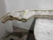 Stoßfängerträger Vorne WJZ Peugeot 306 BERLINA 3/4/5 PUERTAS (S2) 1.9 Diesel