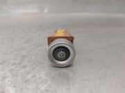 Warnleuchte Schalter 495735077 Peugeot 807 Großraumlimousine 2.0 16V (EW10A(RFJ))