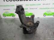Achsschenkel Halter Rechts Vorne 364775 Peugeot 206 (2A/C/H/J/S) Schrägheck 1.6 XS,XT (TU5JP(NFZ))