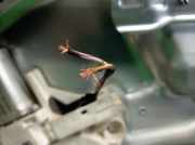 Fensterheber Rechts Vorne 3M51R203A28BJ Ford Focus C-Max Gro?raumlimousine 1.6 TDCi 16V (G8DA)