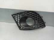 Stoßstangengitter LINKS 6L6853665A Seat Ibiza III (6L1) Schrägheck 1.9 TDI 100 (AXR)